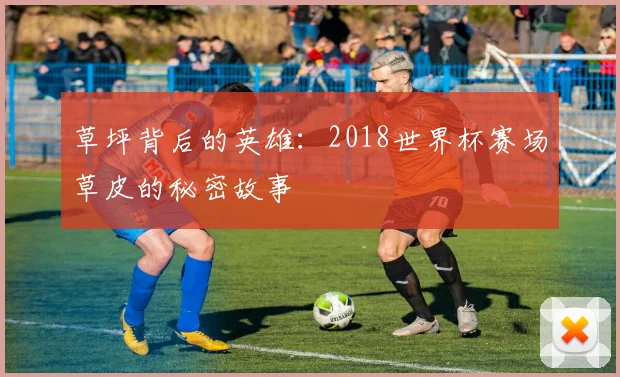 草坪背后的英雄：2018世界杯赛场草皮的秘密故事