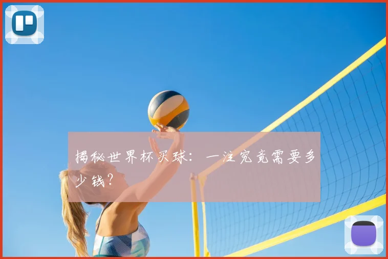 揭秘世界杯买球：一注究竟需要多少钱？