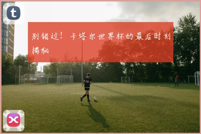 别错过！卡塔尔世界杯的最后时刻揭秘