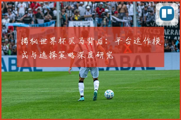 揭秘世界杯买马背后：平台运作模式与选择策略深度研究