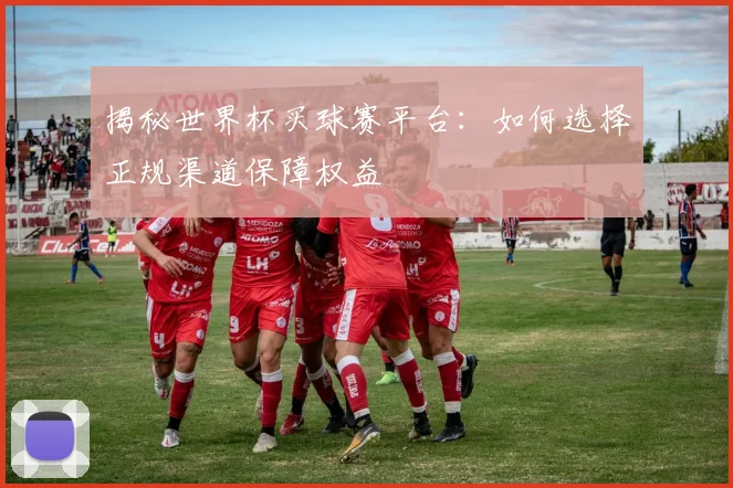 揭秘世界杯买球赛平台：如何选择正规渠道保障权益