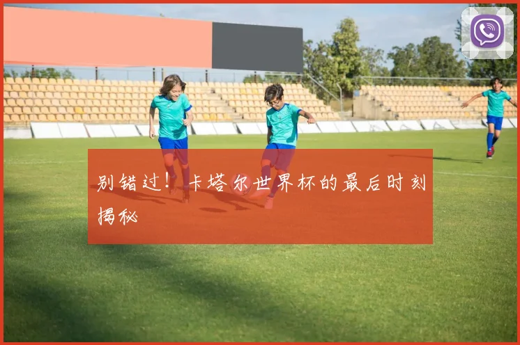 别错过！卡塔尔世界杯的最后时刻揭秘